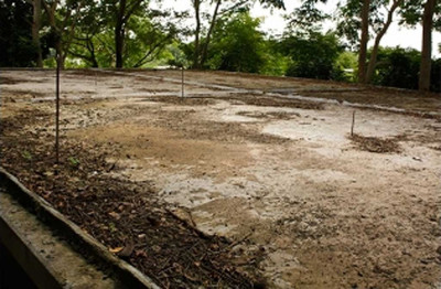 Rainwater Harvesting In School