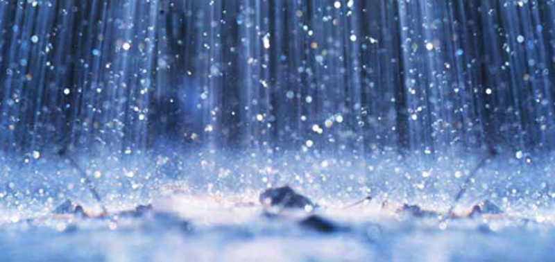 Rain Forum 1st Blog